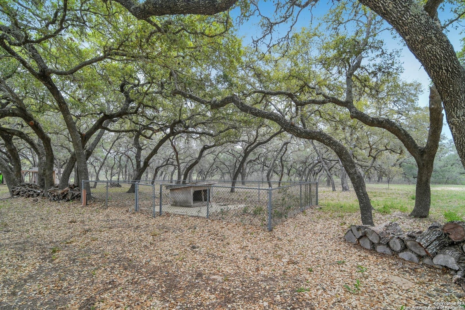 20.66 acres in Atascosa County - photo 49