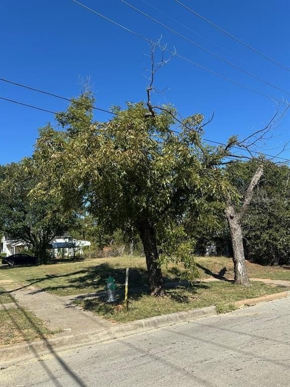 0.14 acres in Palo Pinto County - photo 4
