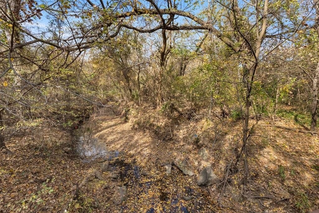 0.46 acres in Denton County - photo 4