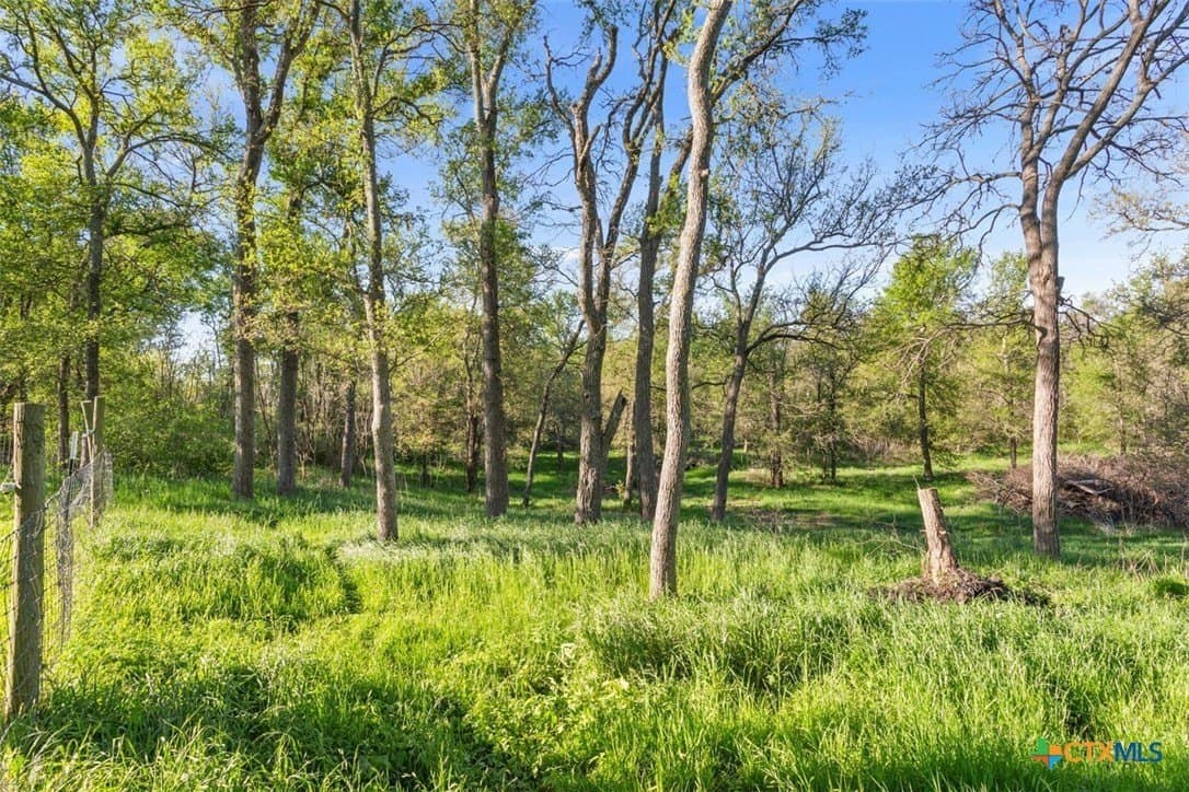 11.87 acres in Milam County - photo 23