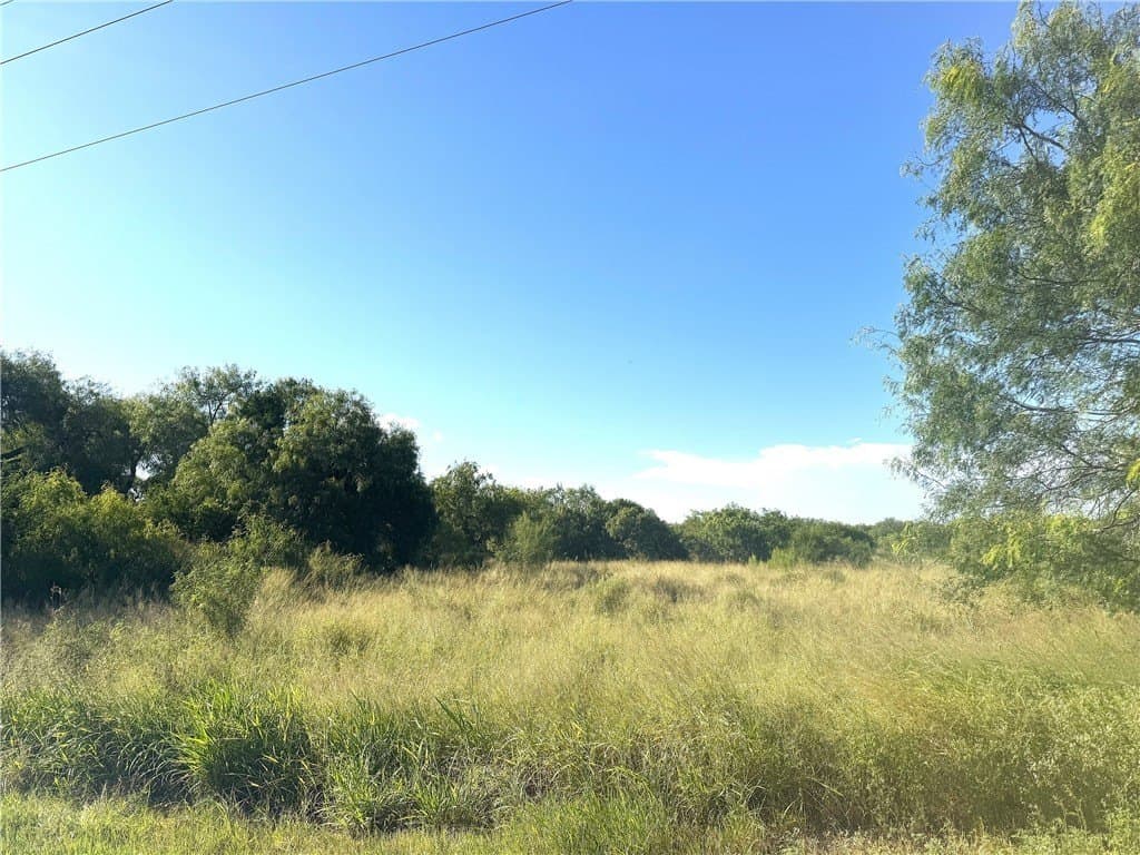 3.92 acres in Kleberg County - photo 7