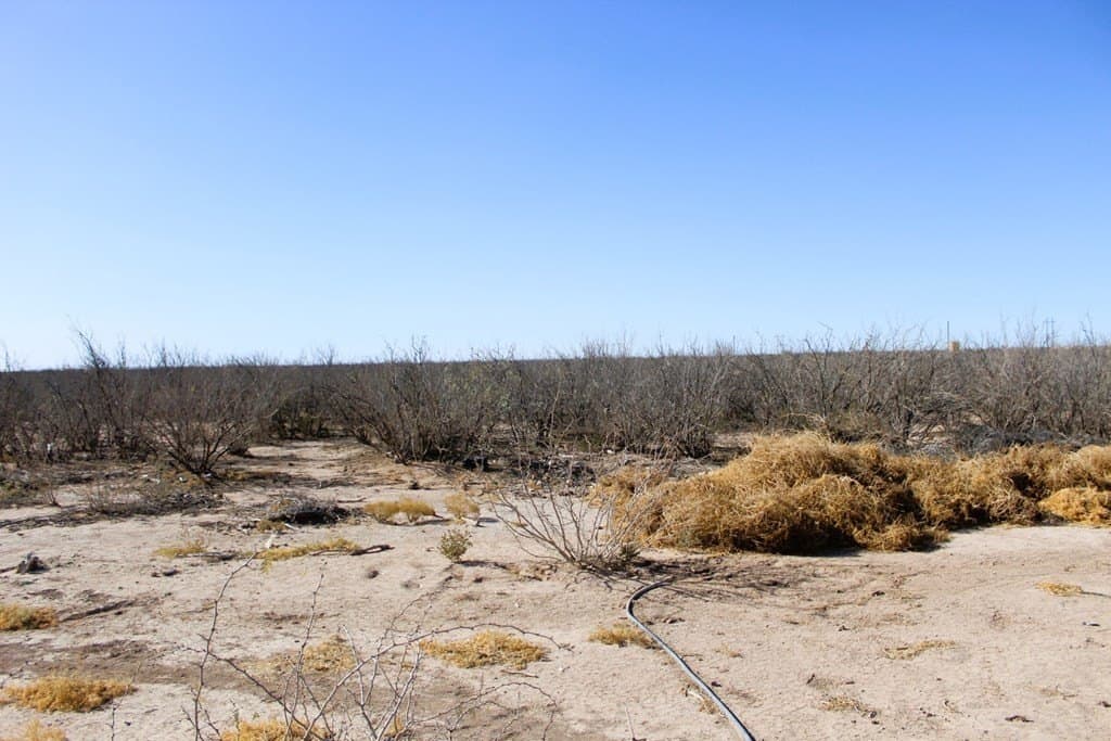 40.57 acres in Pecos County - photo 49
