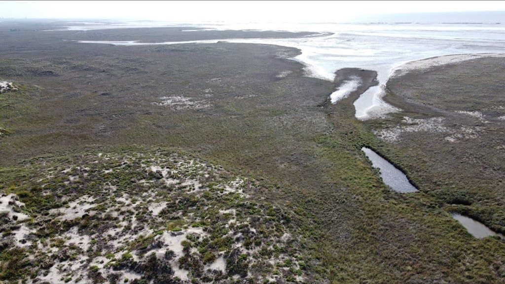 0 acres in Cameron County - photo 3