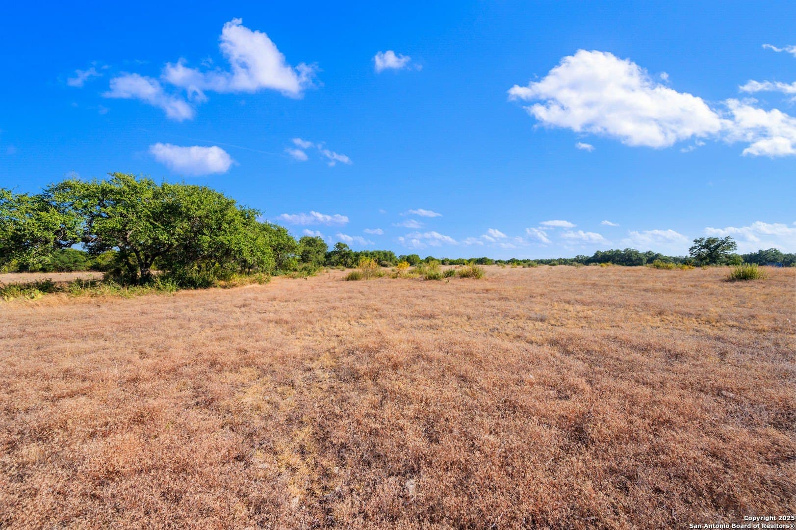 20.14 acres in Blanco County - photo 3