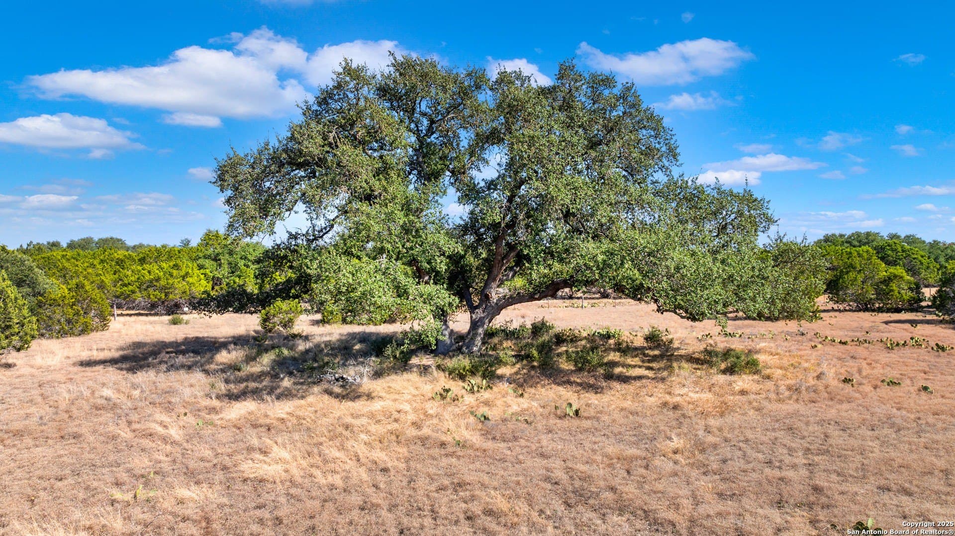 20.14 acres in Blanco County - photo 6