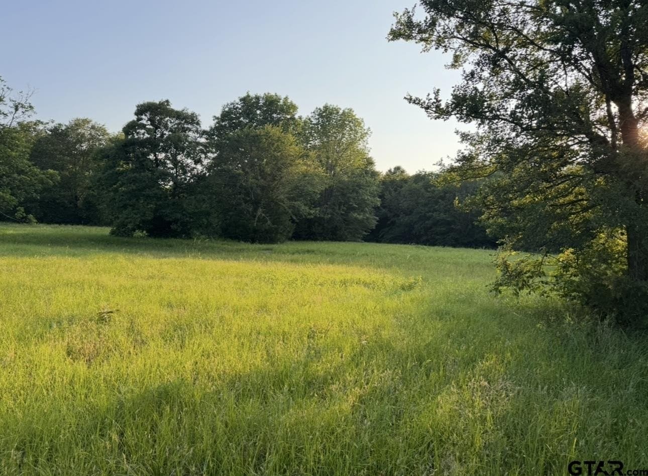 6 acres in Titus County - photo 5