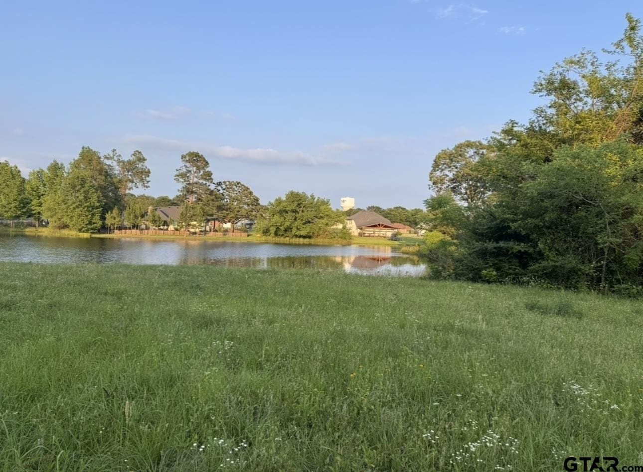 6 acres in Titus County - photo 3