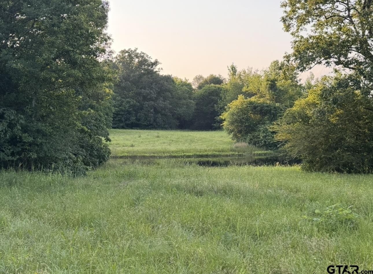 6 acres in Titus County - photo 4