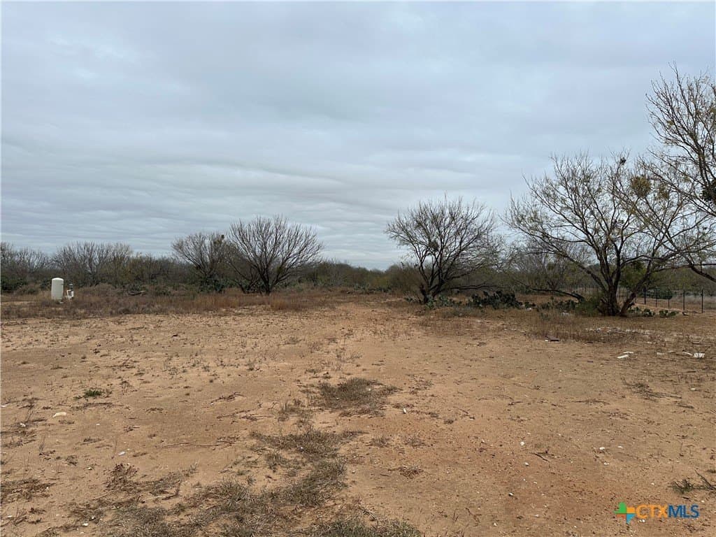 10 acres in Frio County - photo 5