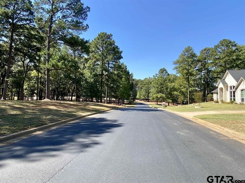 0.49 acres in Anderson County - photo 4