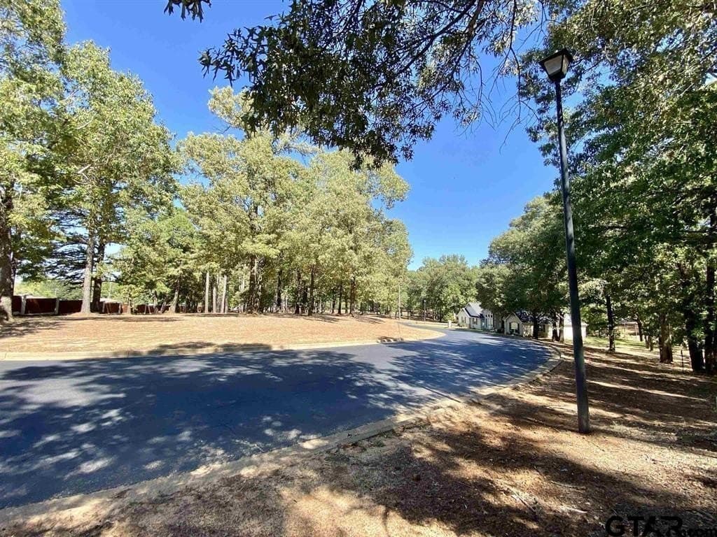 0.49 acres in Anderson County - photo 2