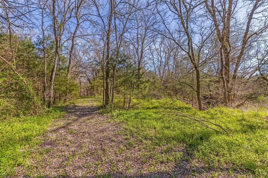 17.74 acres in Collin County - photo 25