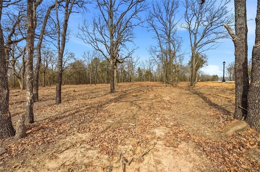 1 acres in Grayson County - photo 5