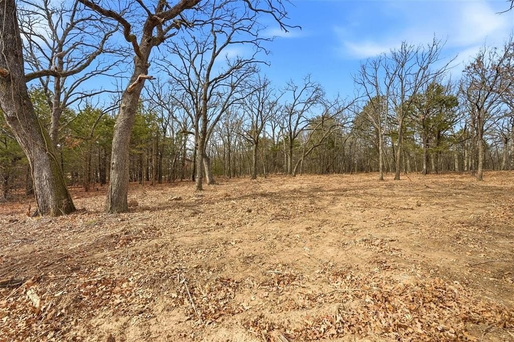 1 acres in Grayson County - photo 6