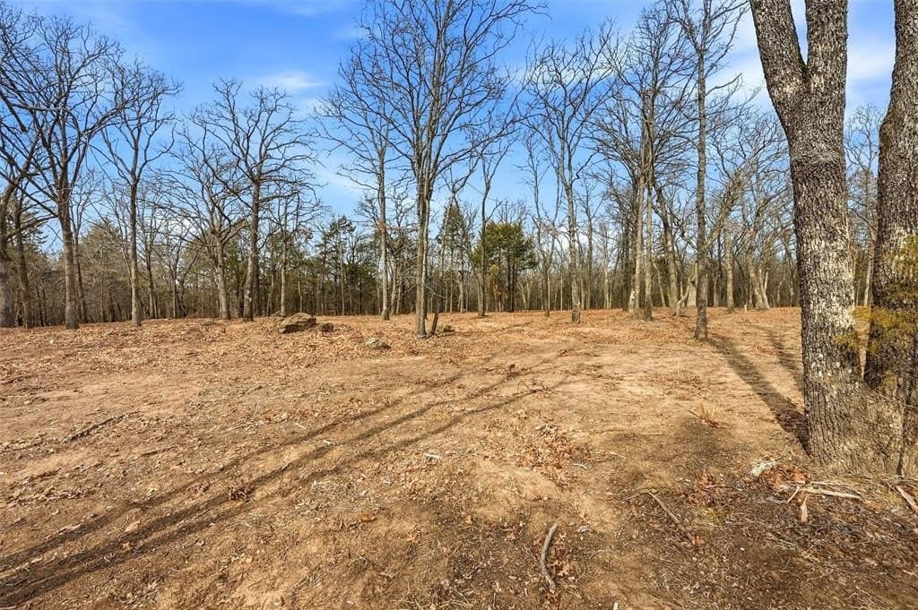 1 acres in Grayson County - photo 9