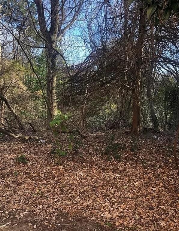0.13 acres in Rockwall County - photo 6
