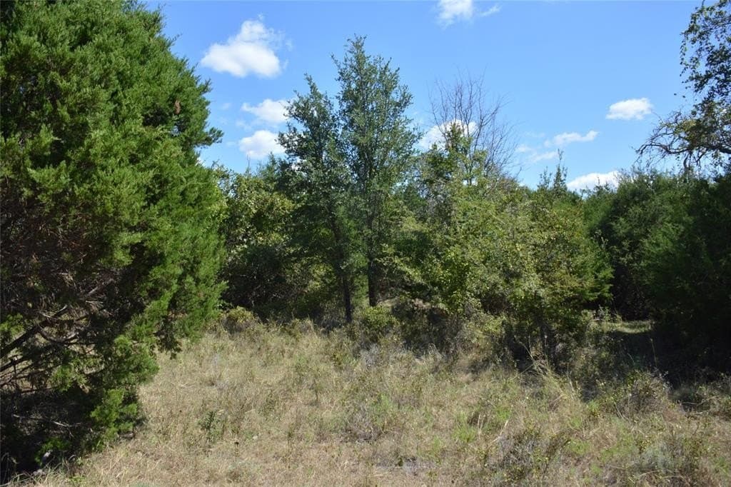 90 acres in Mills County - photo 24