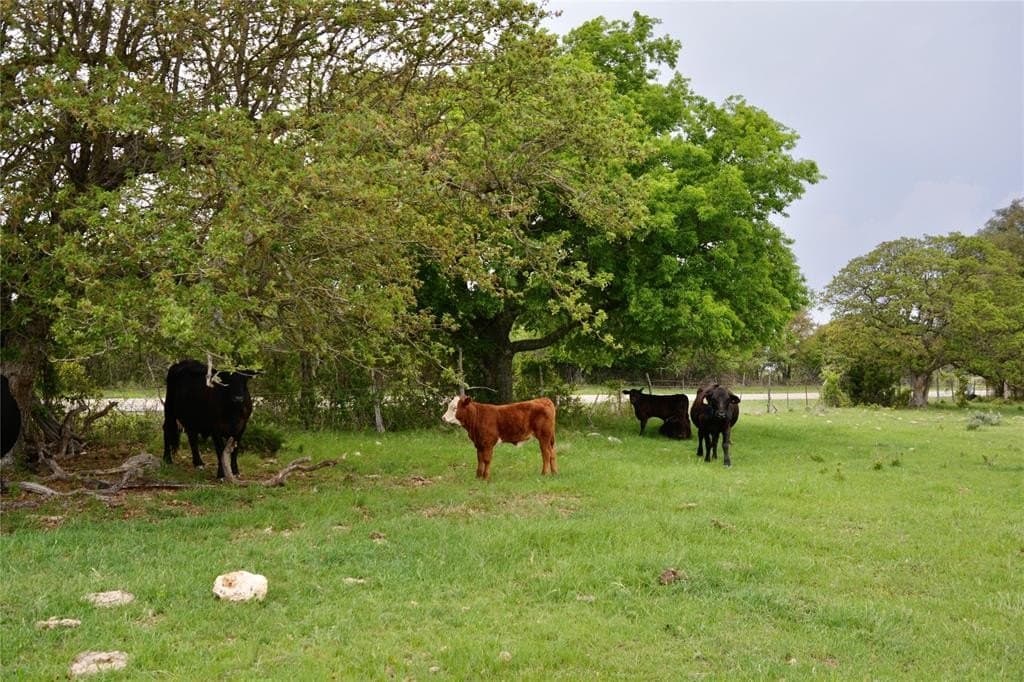 90 acres in Mills County - photo 6