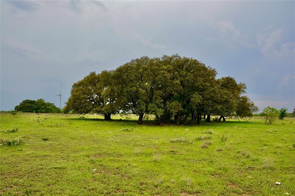 90 acres in Mills County - photo 8