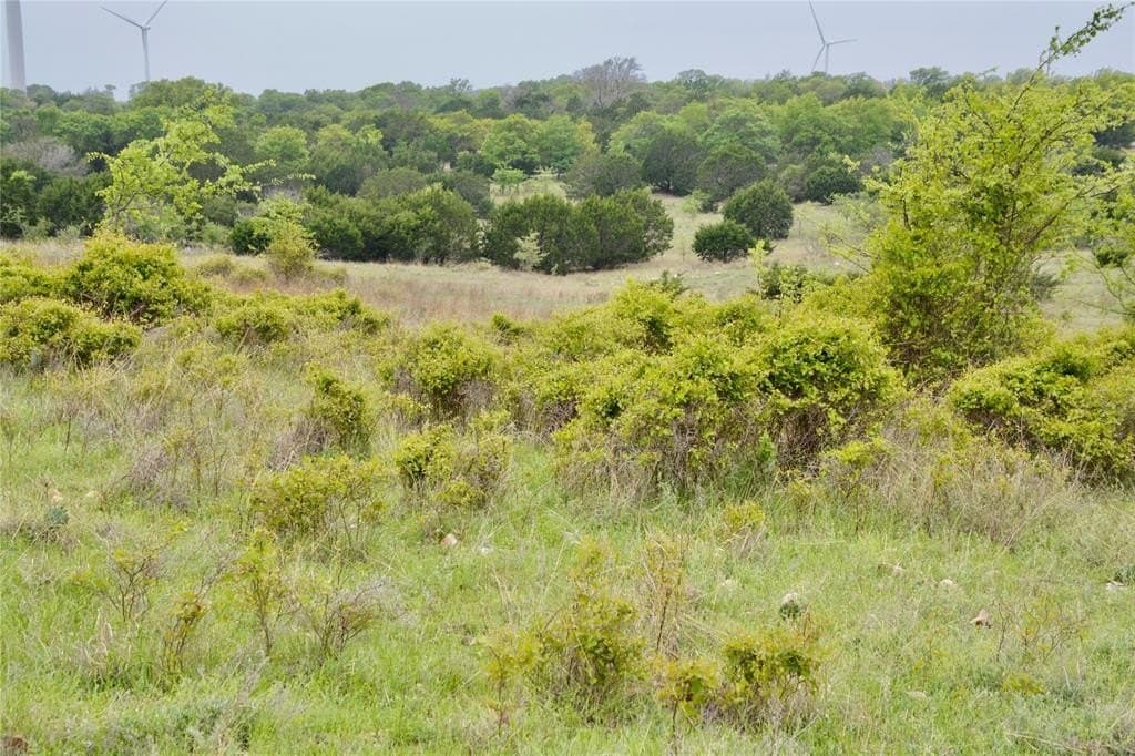 90 acres in Mills County - photo 14