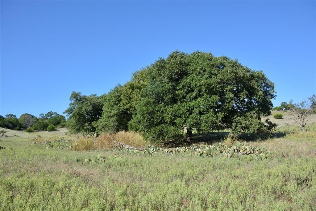 90 acres in Mills County - photo 20