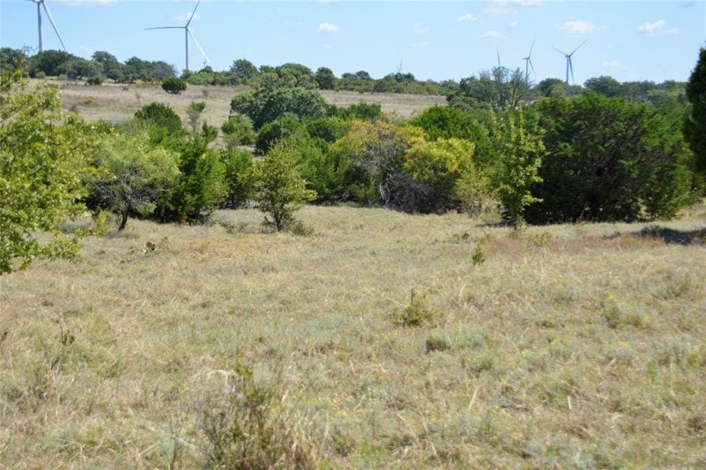 90 acres in Mills County - photo 21