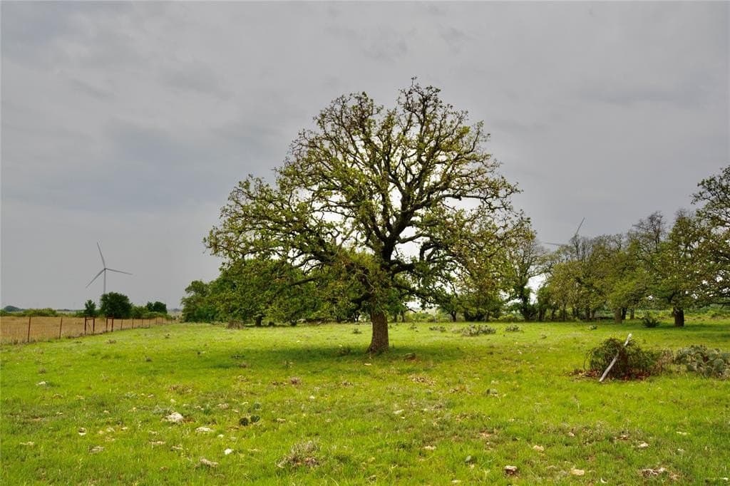 90 acres in Mills County - photo 2