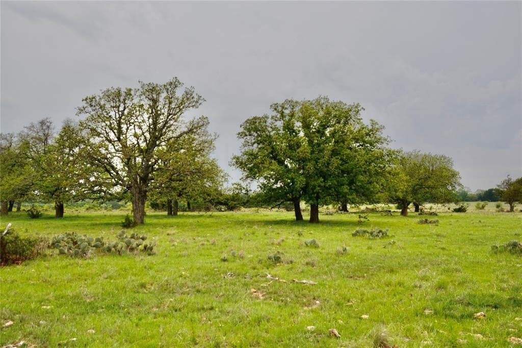 90 acres in Mills County - photo 11