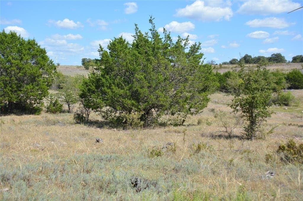 90 acres in Mills County - photo 23