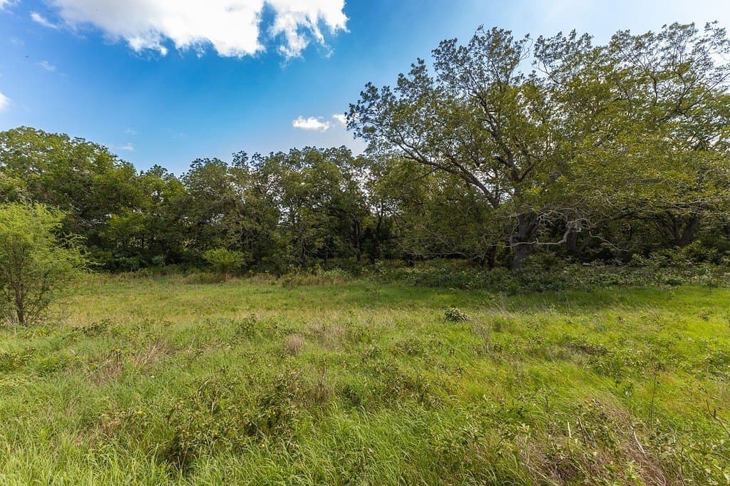 106.07 acres in Colorado County - photo 13
