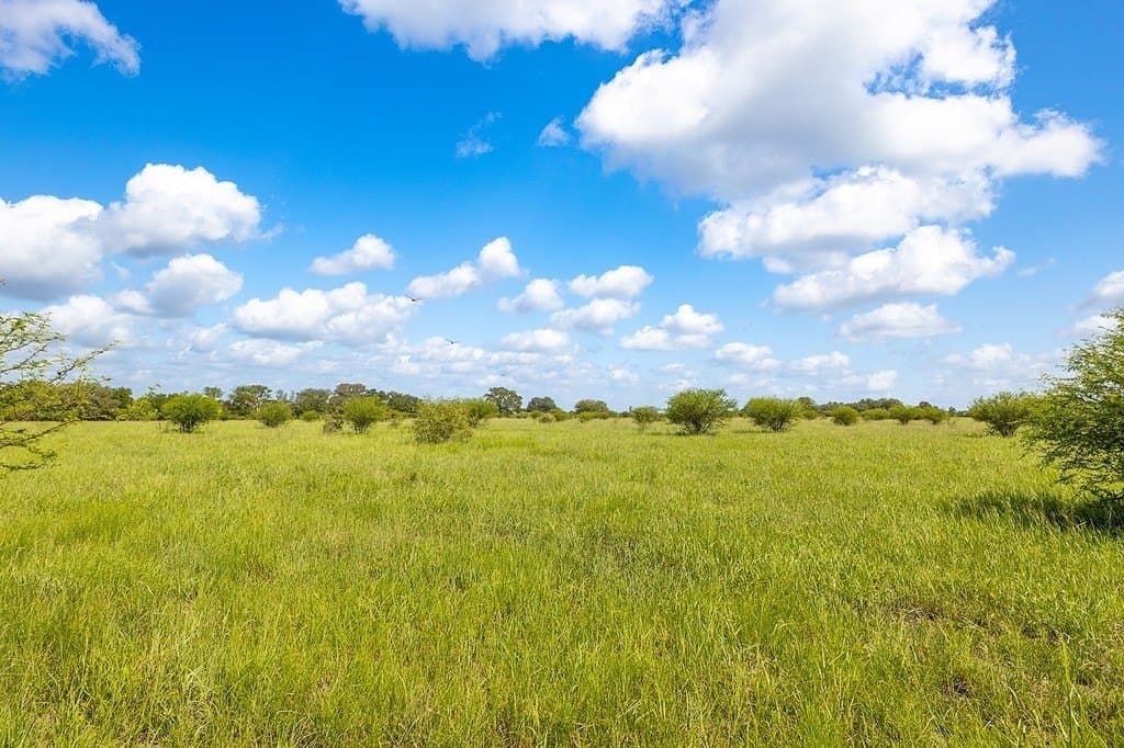 106.07 acres in Colorado County - photo 7