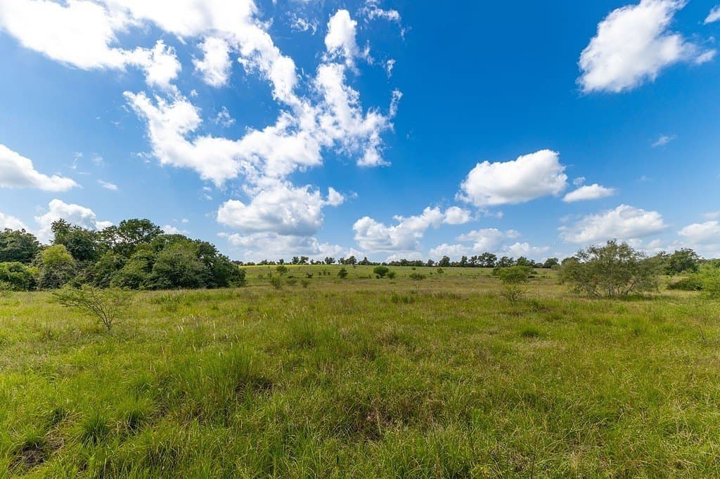 106.07 acres in Colorado County - photo 12