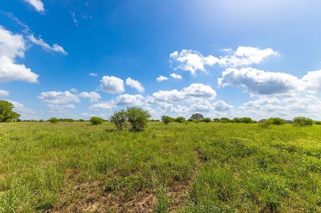 106.07 acres in Colorado County - photo 5