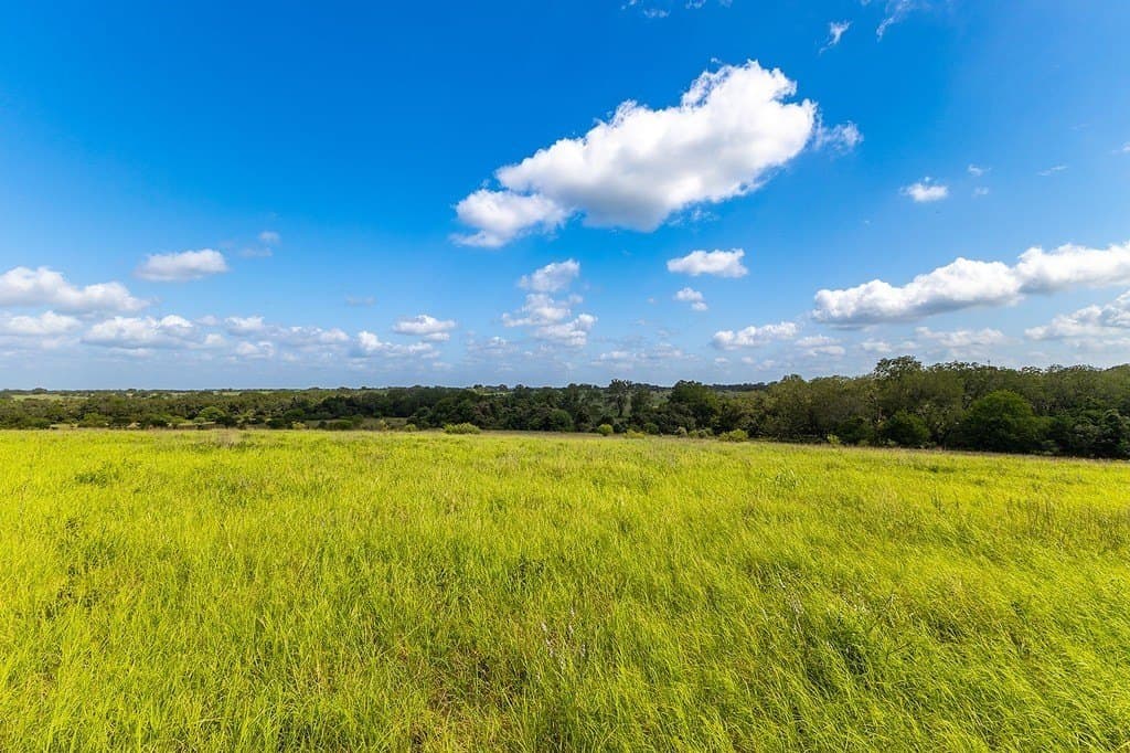 106.07 acres in Colorado County - photo 11