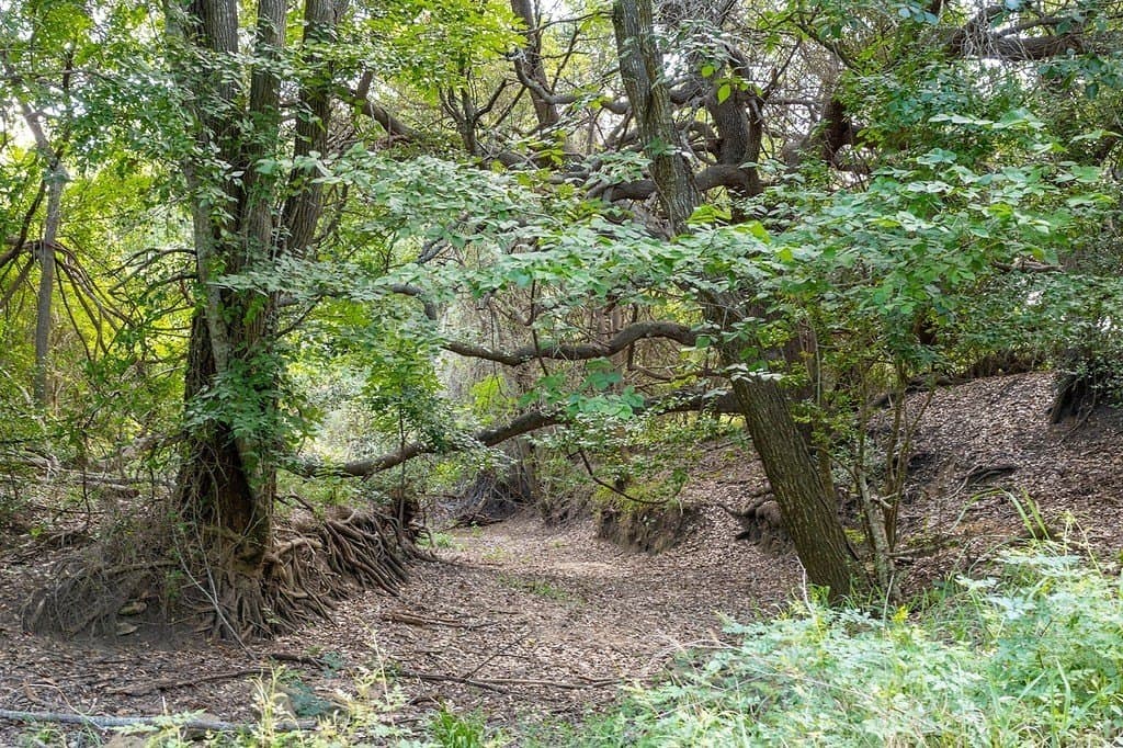 106.07 acres in Colorado County - photo 20