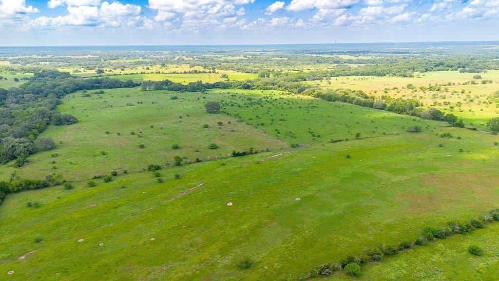 106.07 acres in Colorado County - photo 3