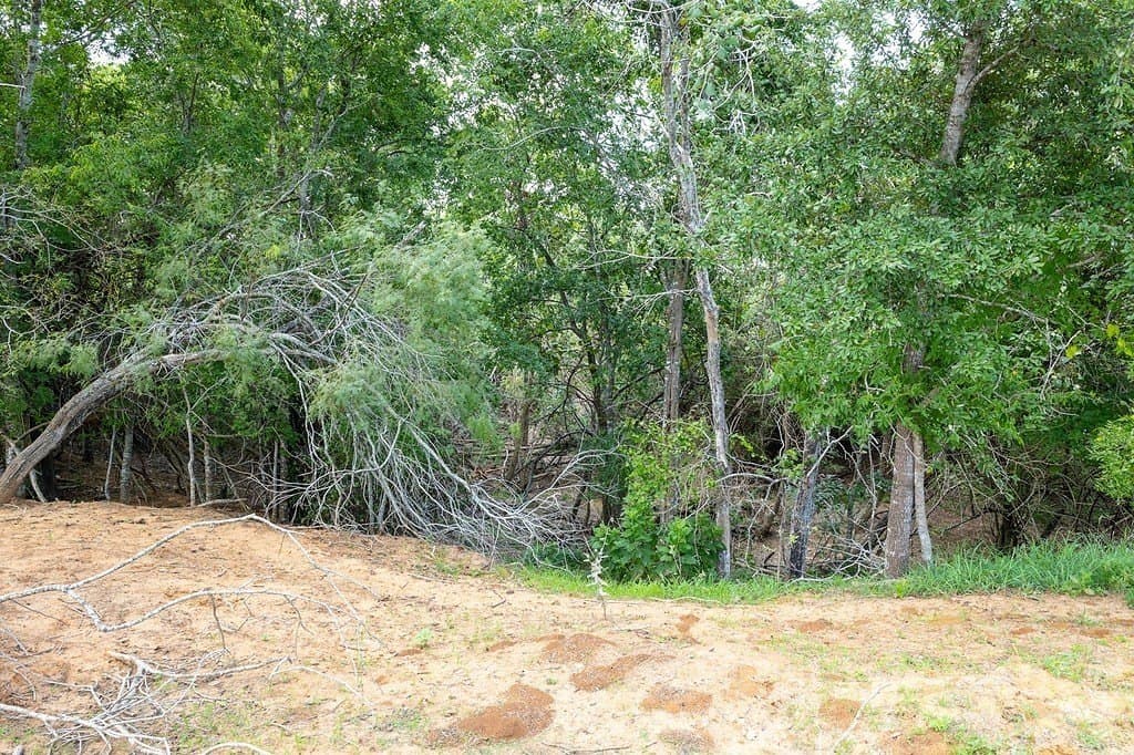 106.07 acres in Colorado County - photo 23