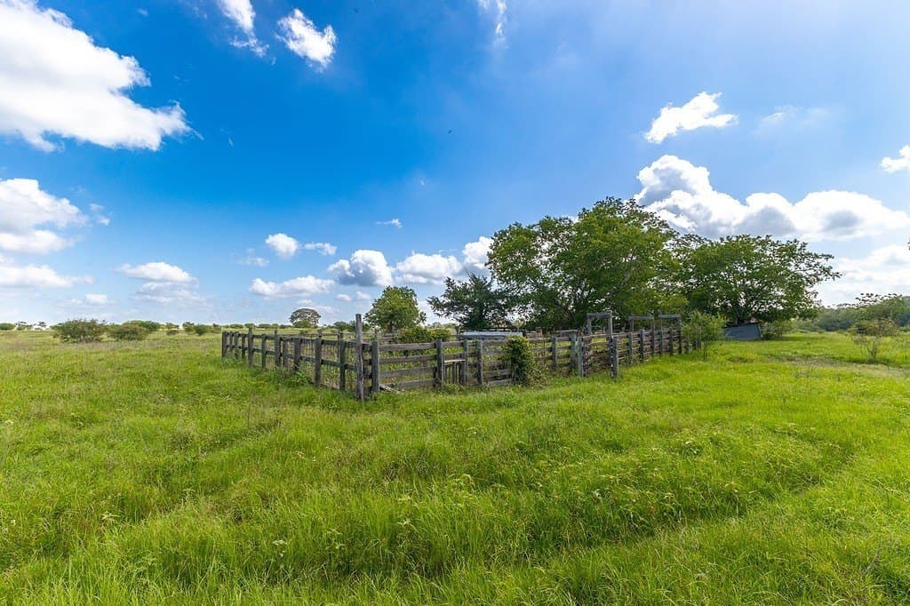 106.07 acres in Colorado County - photo 18