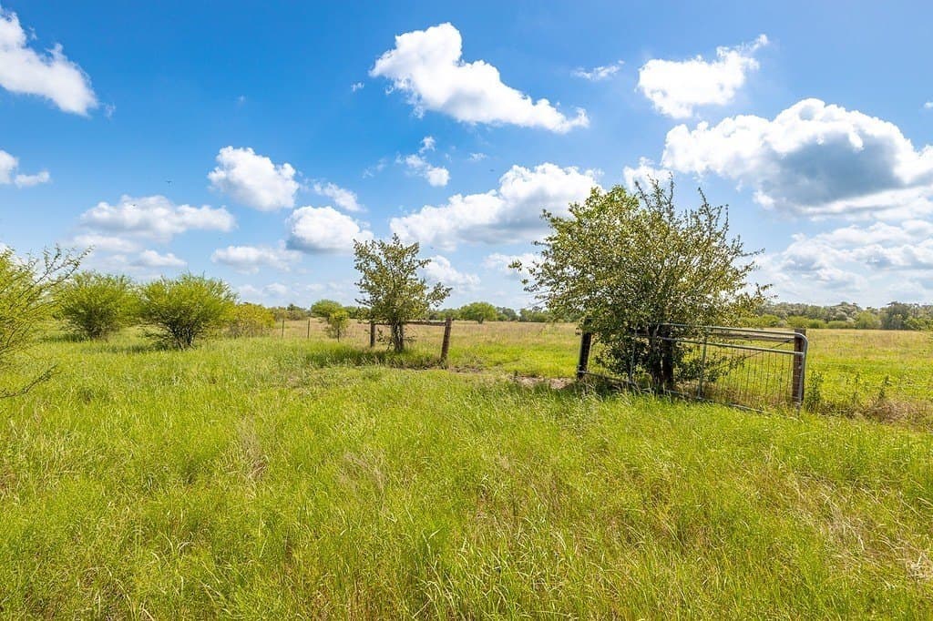 106.07 acres in Colorado County - photo 6