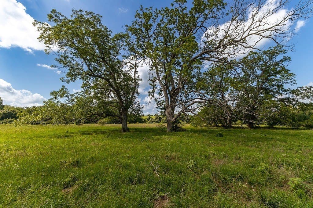106.07 acres in Colorado County - photo 14