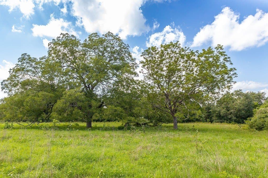 106.07 acres in Colorado County - photo 10
