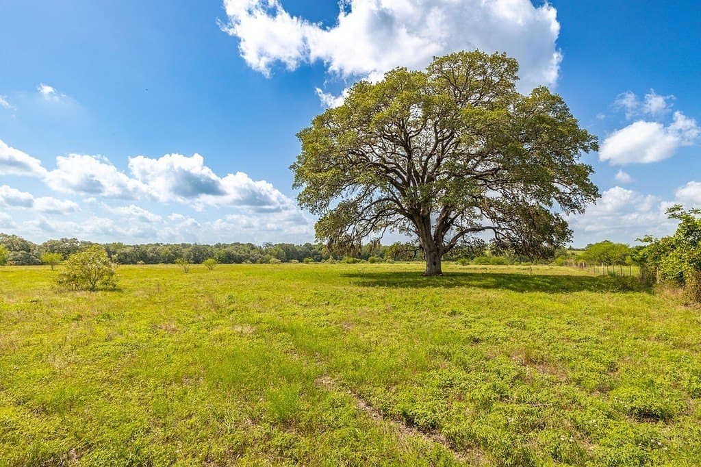 106.07 acres in Colorado County - photo 8
