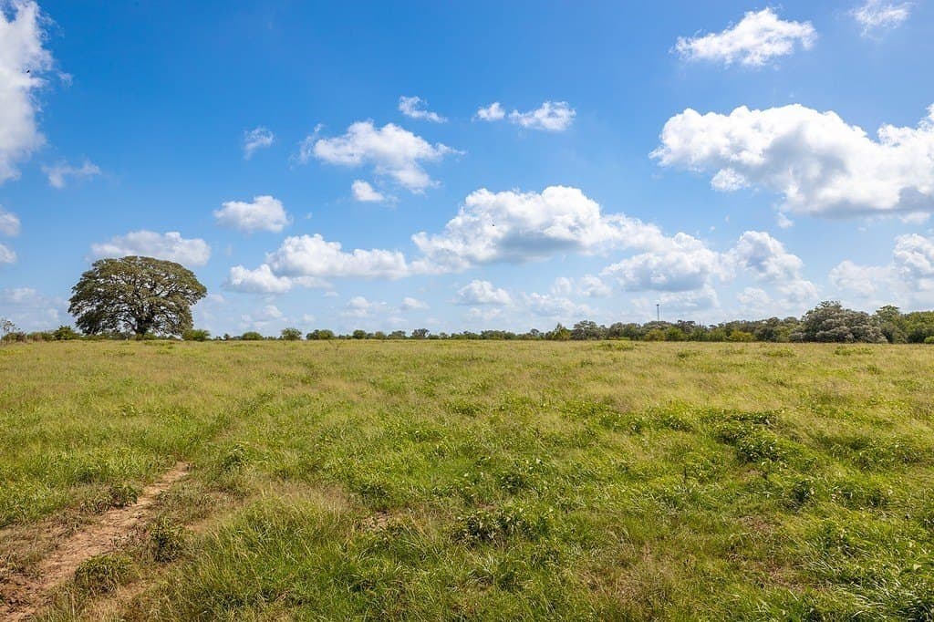 106.07 acres in Colorado County - photo 9