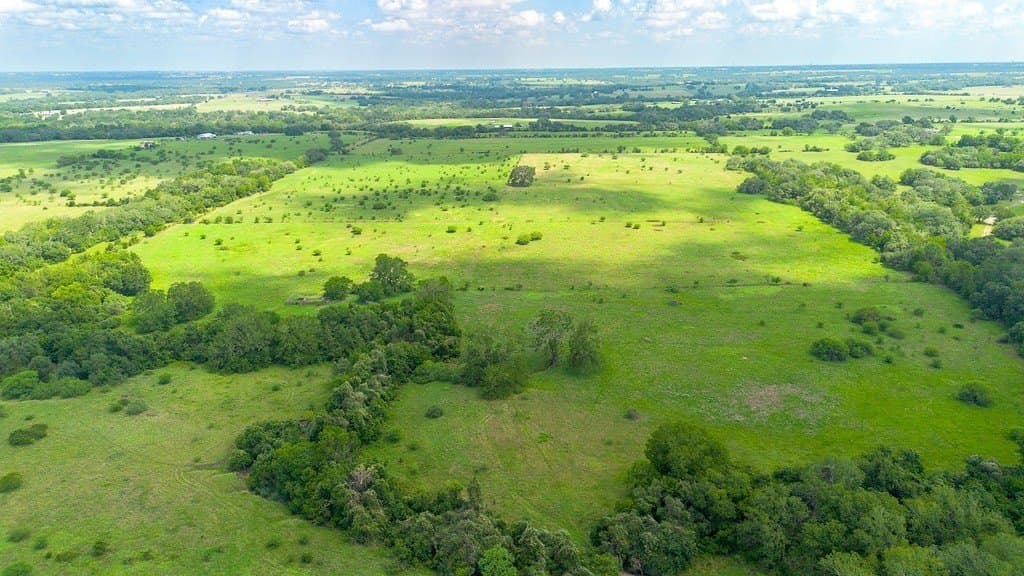 106.07 acres in Colorado County - photo 4