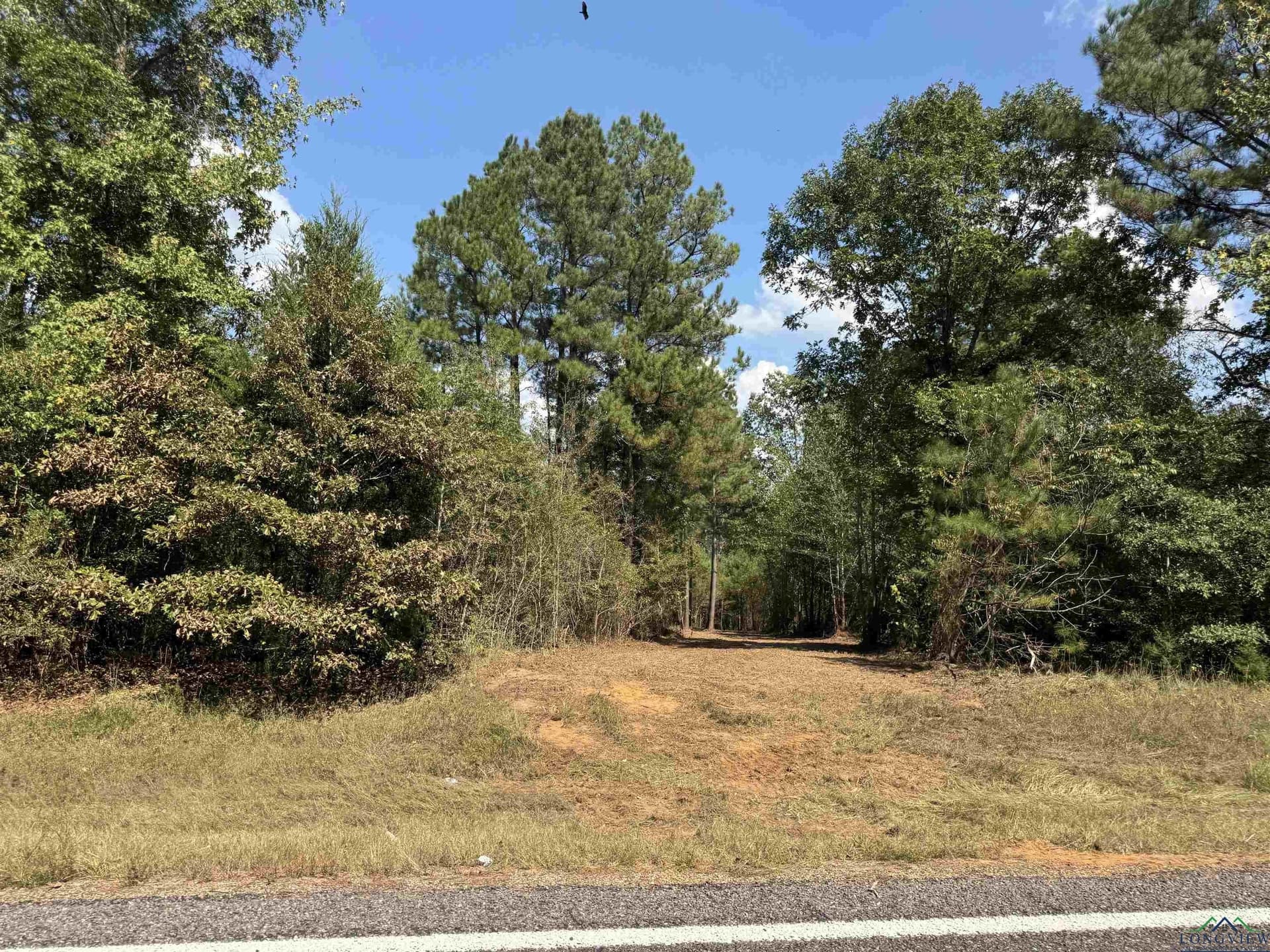 16.7 acres in Cass County - photo 9