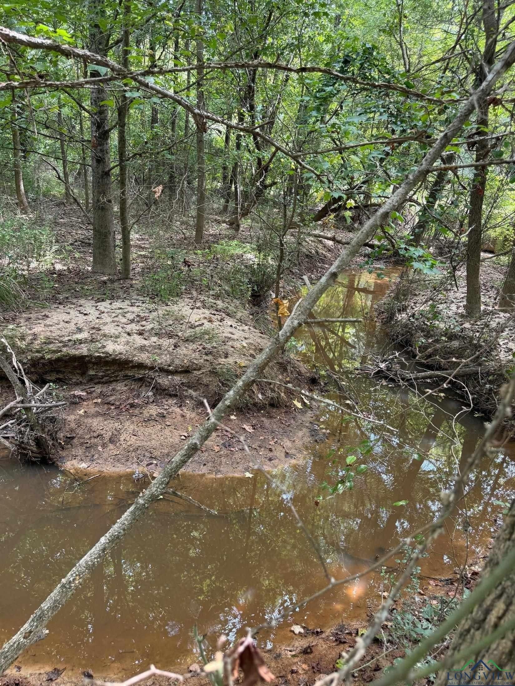16.7 acres in Cass County - photo 6