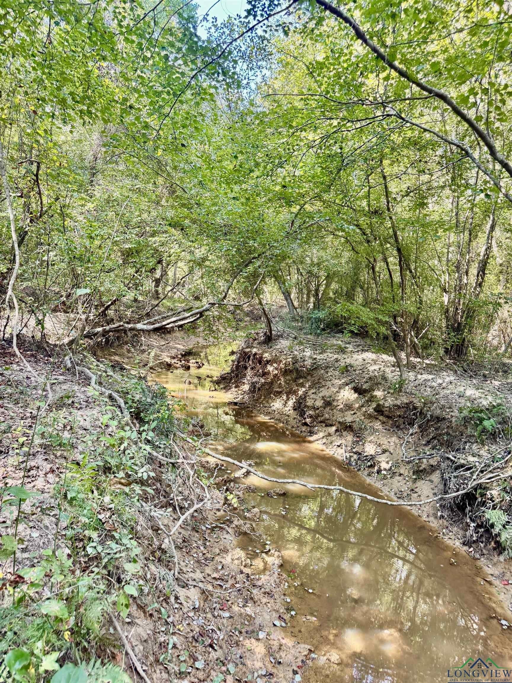 16.7 acres in Cass County - photo 7