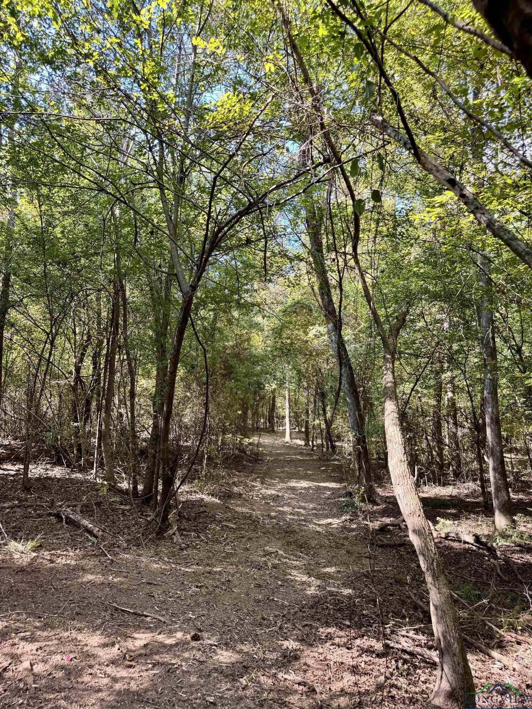 16.7 acres in Cass County - photo 5