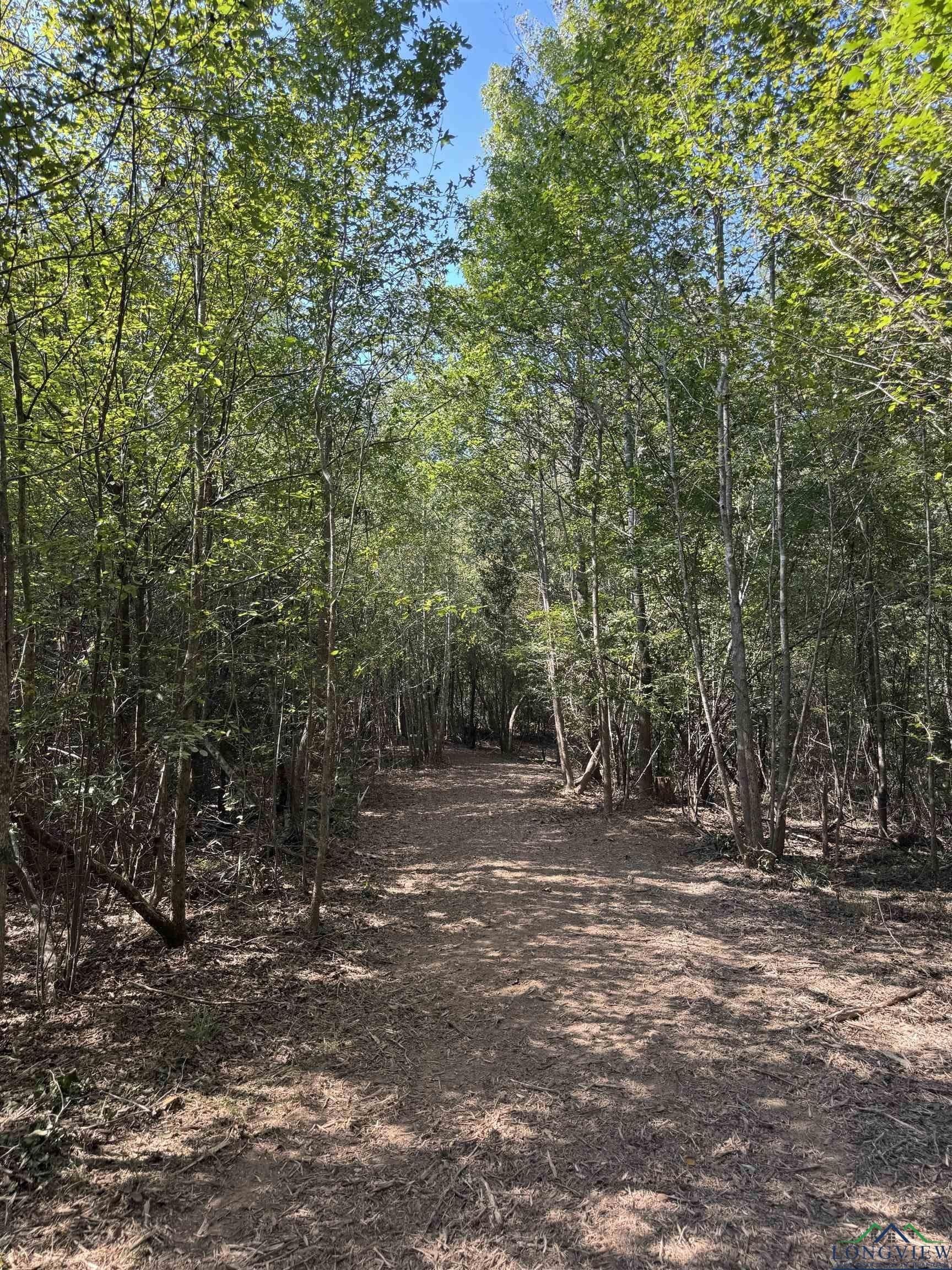 16.7 acres in Cass County - photo 11