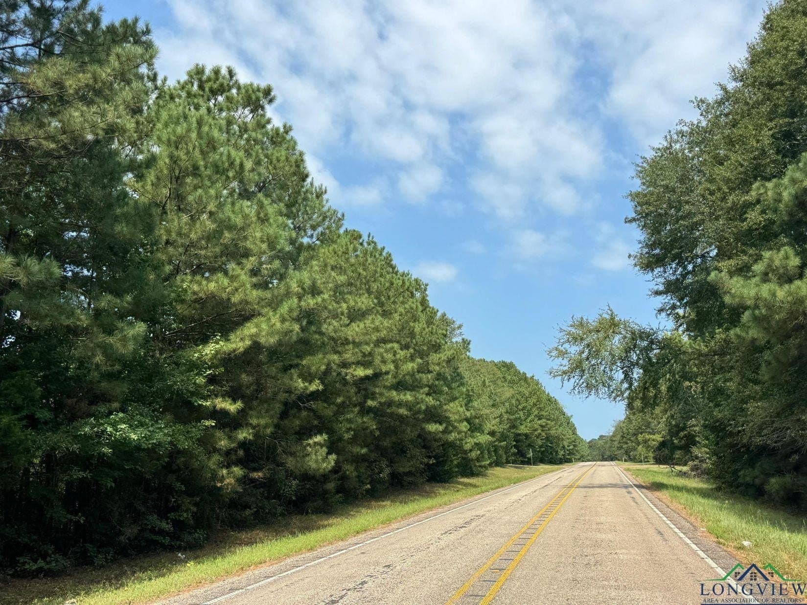 16.7 acres in Cass County - photo 12